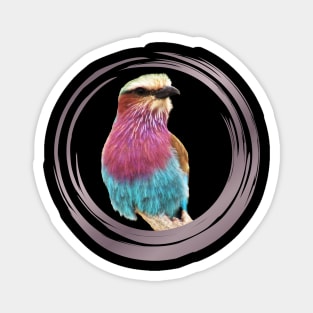 Lilac breasted Roller - Bird - Graphic - Bird in Africa Magnet