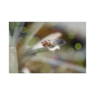 Cicada on Pineapple Tree in Summer Light T-Shirt