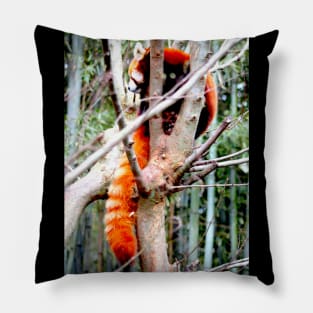 Red Panda Pillow