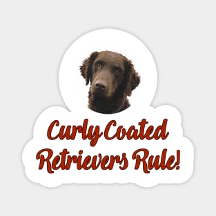 Curly Coated Retrievers Rule! Magnet