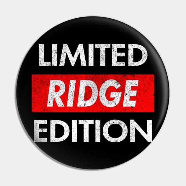 Ridge Pin by Ban Guns Not Books- Typography fullcolor