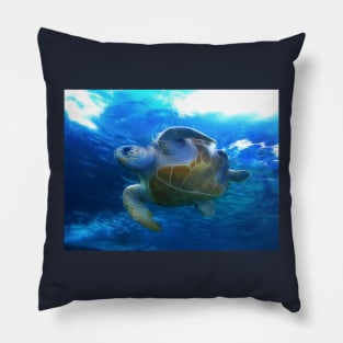 At the Two Oceans Aquarium. Cape Town. South Africa Pillow