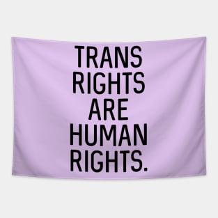 V3: Trans rights are human rights. Tapestry