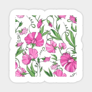 pink sweet pea Magnet