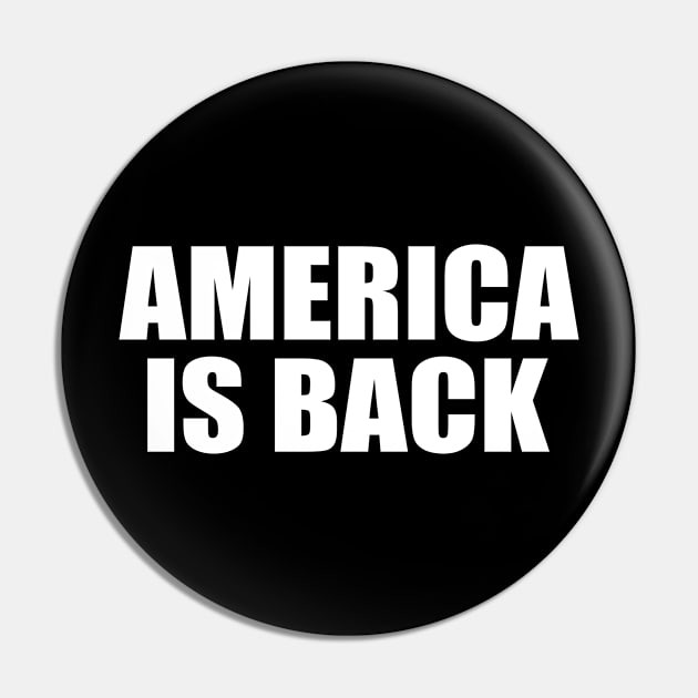 AMERICA IS BACK Pin by Milaino