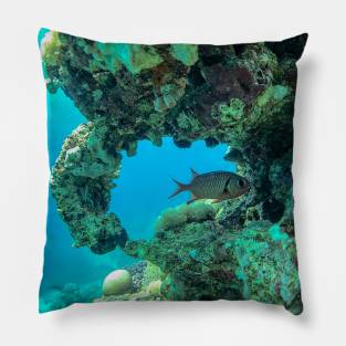 Coral reef and fish Pillow