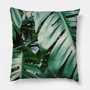 Green Palm Tree Pillow