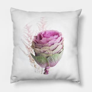 Ornamental Cabbage Pillow