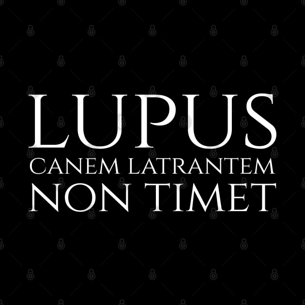 lupus non timet canem latrantem - a wolf is not afraid of a barking dog - Latin quote by Styr Designs