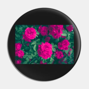 Pink Roses Impressionism Pin