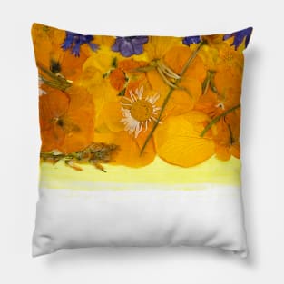 Ukrainian flag made from pressed dried flowers from the Kiev region. Pillow