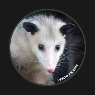 Opossum T-Shirt