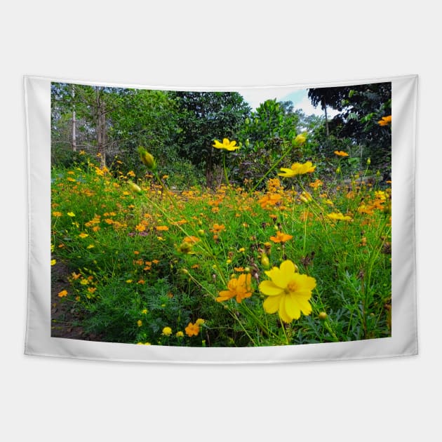 cosmos, yellow, floral, flower, cosmos flower, cosmos flowers, botanical, nature, flowers, garden, yellow cosmos, daisy, yellow flower, natural, wildflowers Tapestry by souvenirscape