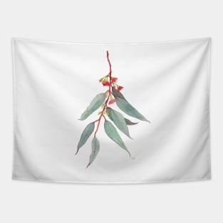 Red Flowering Gum Blossom Tapestry