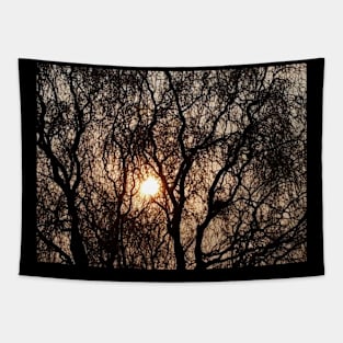 Evening Sun Tapestry