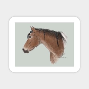 Pinto Horse Magnet