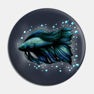 Blue Siamese Fighting Fish (Betta Splendens) Pin