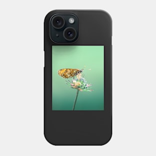 Melitaea celadussa Phone Case