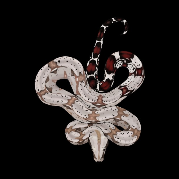 Red Tailed Boa by Tinker and Bone Studio