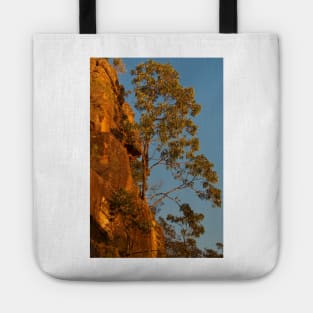 Sandstone on Fire Tote