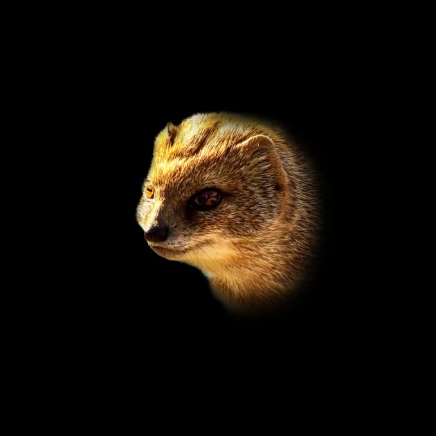 Yellow mongoose by Guardi