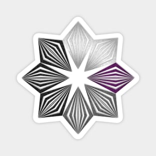 Demisexual Pride Flag Colored Geometric Starburst Magnet