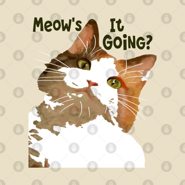 Meows It Going Fun Cat Meme Question by taiche