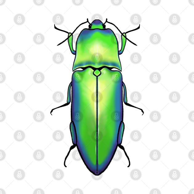 Beetle by Gwenpai