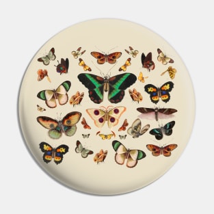 Moths Cottagecore Countrycore Goblincore Butterflies Pin