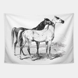 Horses Black & White Illustration Tapestry