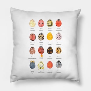 Ladybird, Ladybird Pillow