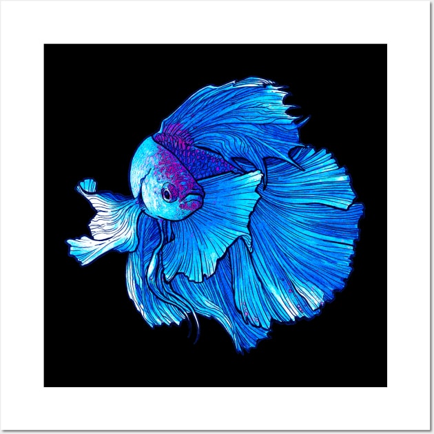 Blue Betta Fish - Betta Fish - Posters and Art Prints