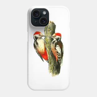 Red tufted finch on tree trunk Phone Case