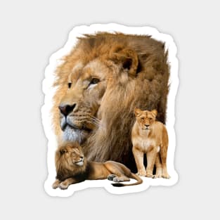 Lions Magnet