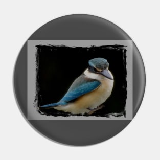 Sacred kingfisher Pin