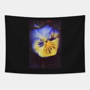 Pansy Glow Tapestry