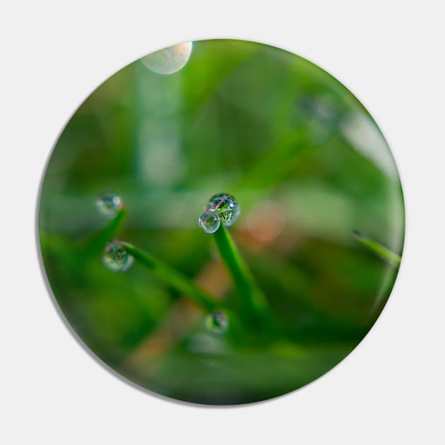 Morning Dew On The Grass Pin by JM's Designs