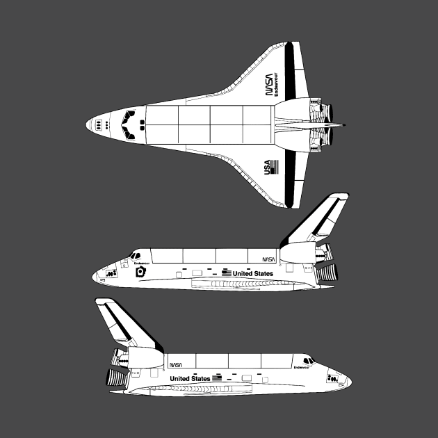 Space Shuttle by euglenii