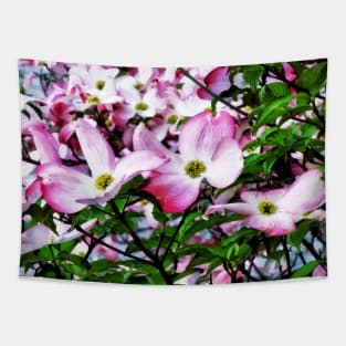 Spring - Pink Dogwood Blossoms Tapestry