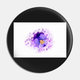 Purple pansy on white background Pin