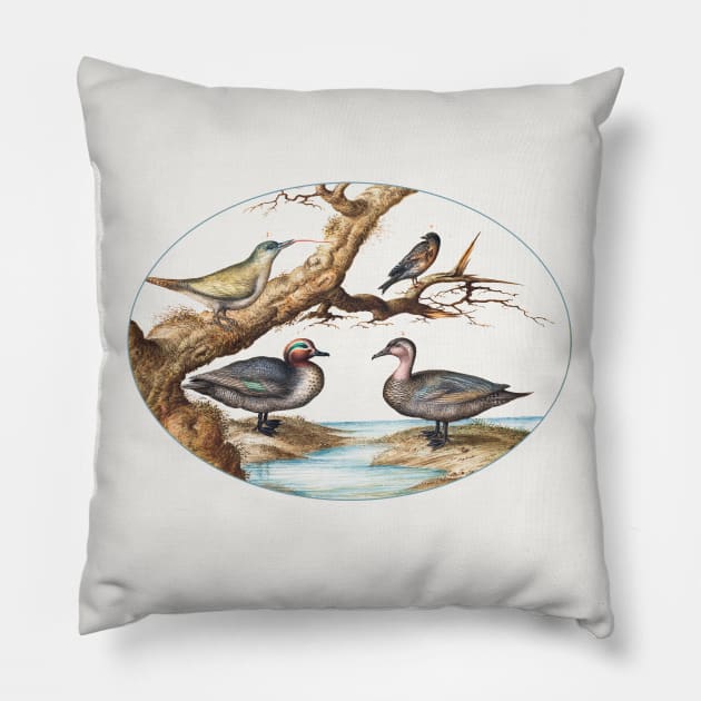 Green-Winged Teal, Juvenile Green Woodpecker and Two Other Birds (1575-1580) Pillow by WAITE-SMITH VINTAGE ART