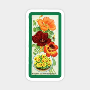 Nasturtiums of 1906 Magnet