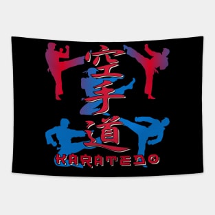 Martial Arts Japanese Karate Fighter 680 Tapestry