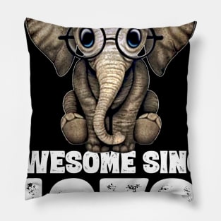 Awesome since 1973 47 Years Old Bday Gift 47th Birthday Pillow