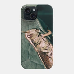 Grasshopper Climbing Green Leaf Macro Photograph Phone Case