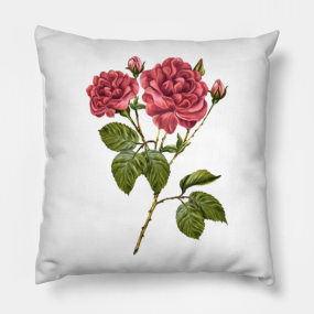 Red Rose Flower Pillows Teepublic