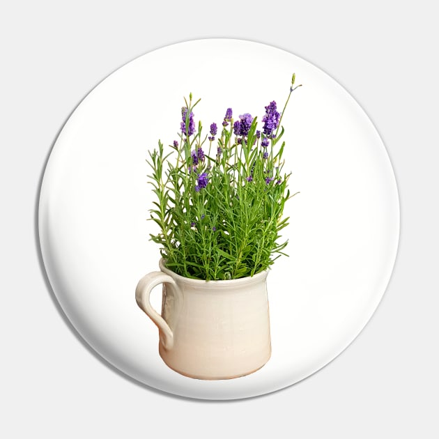 Lavender Plant in a Jug Photo Pin by ellenhenryart