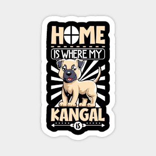 Home is with my Kangal Shepherd Magnet