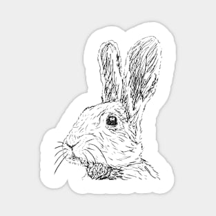 Rabbit #2 Magnet