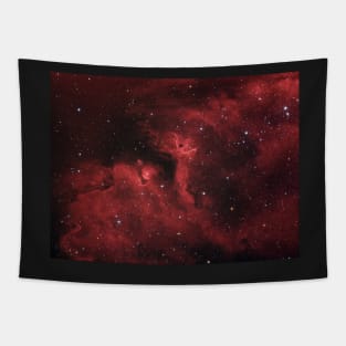 Star forming region, Soul Nebula in constellation Cassiopeia Tapestry